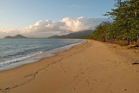 Cairns Reef And Rainforest Combo: Daintree Rainforest And The Great Barrier Reef - Phillip Island Accommodation 4
