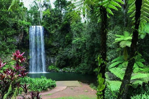 Paronella Park And Millaa Millaa Falls Full-day Tour From Cairns - Phillip Island Accommodation 3