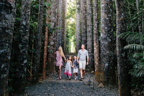 Paronella Park And Millaa Millaa Falls Full-day Tour From Cairns - Phillip Island Accommodation 5