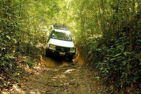 Barron Gorge And Kuranda National Park Half Day Rainforest And Waterfall 4WD Tour From Cairns - Phillip Island Accommodation 2