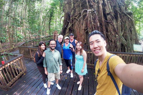 Barron Gorge And Kuranda National Park Half Day Rainforest And Waterfall 4WD Tour From Cairns - Phillip Island Accommodation 5