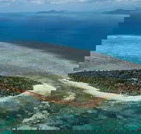 4-Day Cairns with Great Barrier Reef and Daintree Rainforest - Phillip Island Accommodation