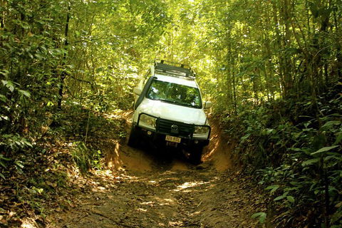 Cairns National Park Rainforest And Waterfall Small Group Tour Shore Excursion - Phillip Island Accommodation 0