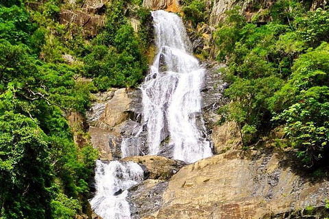 Cairns National Park Rainforest And Waterfall Small Group Tour Shore Excursion - Phillip Island Accommodation 4