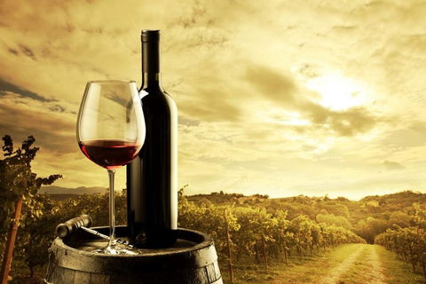 McLaren Vale Luxury Wine Tour - Phillip Island Accommodation 0