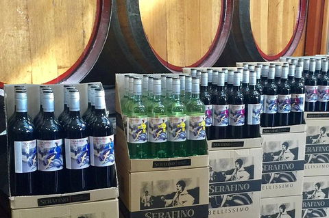 Mclaren Vale Luxury Full Day Small Group Wine Tour - Phillip Island Accommodation 0