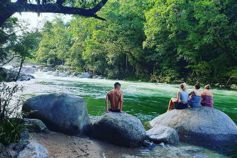 Afternoon Half-Day Daintree Rainforest And River Tour - Phillip Island Accommodation 0