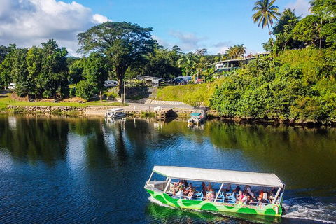 Afternoon Half-Day Daintree Rainforest And River Tour - Phillip Island Accommodation 1