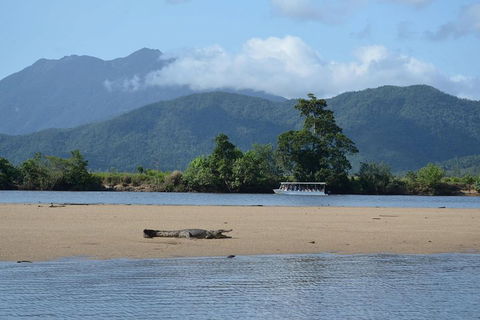Afternoon Half-Day Daintree Rainforest And River Tour - Phillip Island Accommodation 2