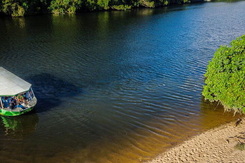 Afternoon Half-Day Daintree Rainforest And River Tour - Phillip Island Accommodation 3