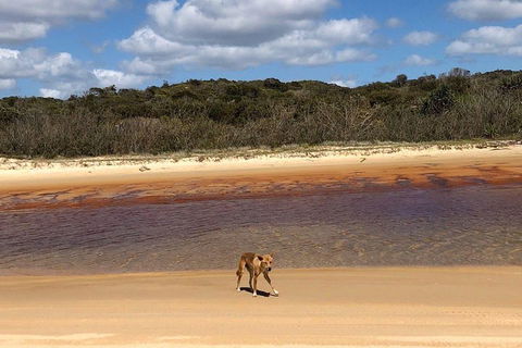 Pippies 3 Days 2 Nights Fraser Island Tour - Phillip Island Accommodation 2