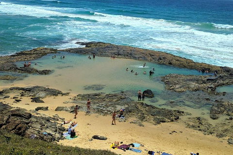Pippies 3 Days 2 Nights Fraser Island Tour - Phillip Island Accommodation 5