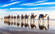 Broome Pre-sunset Camel Tour 30 Minutes - thumb 2