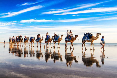 Broome Pre-sunset Camel Tour 30 Minutes - Phillip Island Accommodation 2