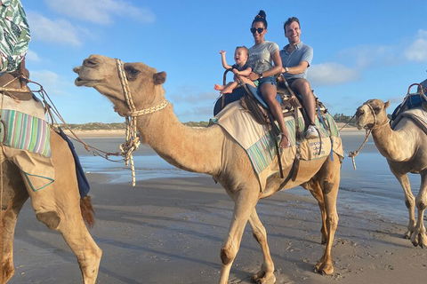 Broome Pre-sunset Camel Tour 30 Minutes - Phillip Island Accommodation 3