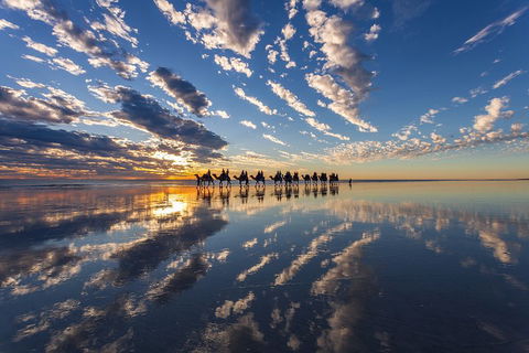 Broome Pre-sunset Camel Tour 30 Minutes - Phillip Island Accommodation 4
