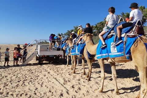 Broome Pre-sunset Camel Tour 30 Minutes - Phillip Island Accommodation 5