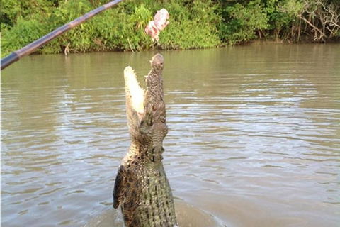 Litchfield National Park And Jumping Crocodile Cruise - Phillip Island Accommodation 2
