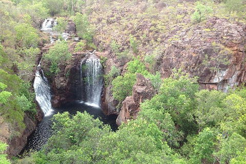 Litchfield National Park And Jumping Crocodile Cruise - Phillip Island Accommodation 4