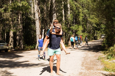 7-Day Best Of Tasmania Adventure Experience From Hobart (flexible Ticket) - Phillip Island Accommodation 5