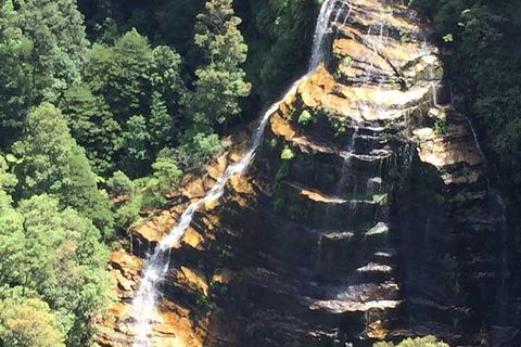 Private Blue Mountains Tour With Kangaroo And Koala Experience - Phillip Island Accommodation 5