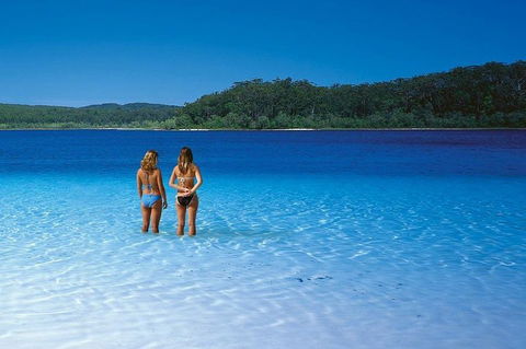 Fraser Island 4WD Tour From Noosa - Phillip Island Accommodation 2