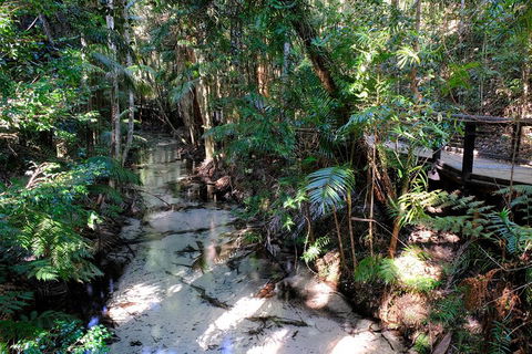 Fraser Island 4WD Tour From Rainbow Beach - Phillip Island Accommodation 0
