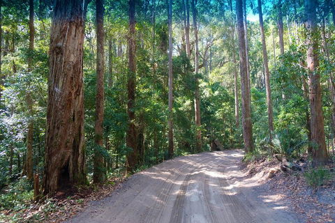 Fraser Island 4WD Tour From Rainbow Beach - Phillip Island Accommodation 4