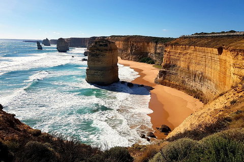 Helicopter Flight + Fine Dining Private Luxury Great Ocean Road Tour - Phillip Island Accommodation 4