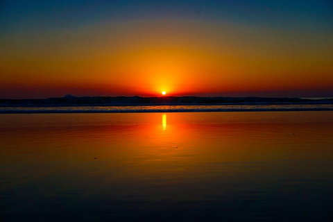 Glow Worms Private Tour - Nocturnal Rainforest Walk - Phillip Island Accommodation 3