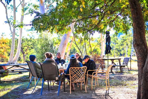Private Blue Mountains And Winery Day-Trip From Sydney - Phillip Island Accommodation 1