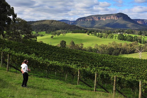 Private Blue Mountains And Winery Day-Trip From Sydney - Phillip Island Accommodation 2
