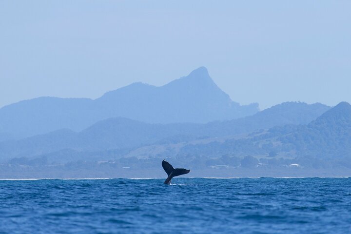 Phillip Island Accommodation