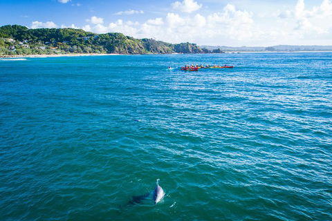 The Byron Bay Sea Kayak Tour - Phillip Island Accommodation 2