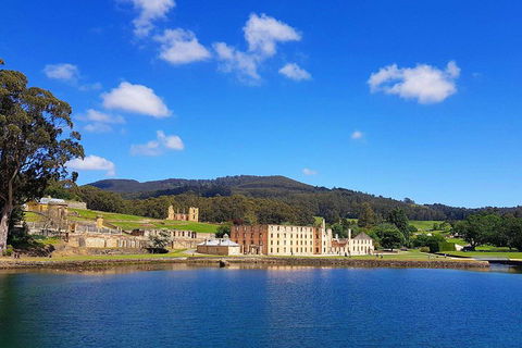 Tasmania 4 Day East Coast + Launceston - Phillip Island Accommodation 0