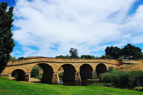 Tasmania 4 Day East Coast + Launceston - Phillip Island Accommodation 4