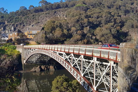 Tasmania 4 Day East Coast + Launceston - Phillip Island Accommodation 5