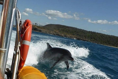 Noosa Oceanrider - Adventure Tour - Phillip Island Accommodation 1