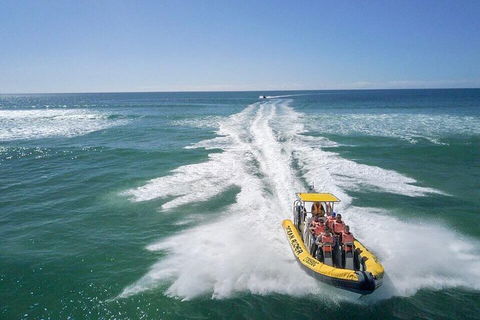 Noosa Oceanrider - Adventure Tour - Phillip Island Accommodation 2