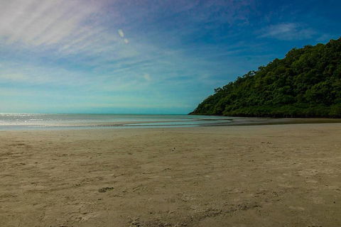 Cape Tribulation Day Tour - Phillip Island Accommodation 2