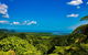 Cape Tribulation Day Tour - thumb 3