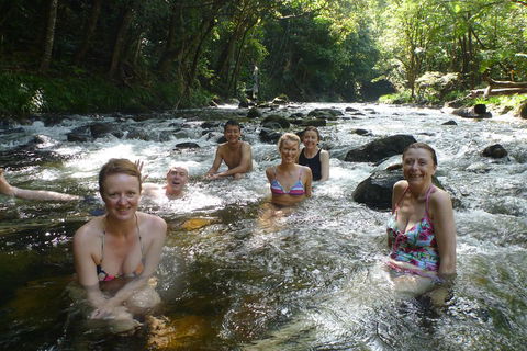 Daintree Rainforest, Cape Tribulation, Mossman Gorge Small-Group Day Tour - Phillip Island Accommodation 0