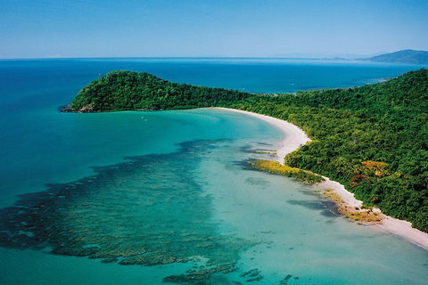 Daintree Rainforest, Cape Tribulation, Mossman Gorge Small-Group Day Tour - Phillip Island Accommodation 4