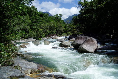Daintree Rainforest, Cape Tribulation, Mossman Gorge Small-Group Day Tour - Phillip Island Accommodation 5