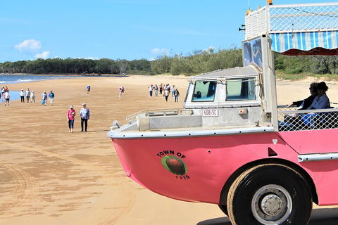 1770 Coastline Tour By LARC Amphibious Vehicle Including Picnic Lunch - Phillip Island Accommodation 0