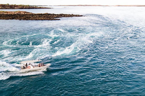 Giant Tides Tour - Cygnet Bay Pearl Farm - Phillip Island Accommodation 4
