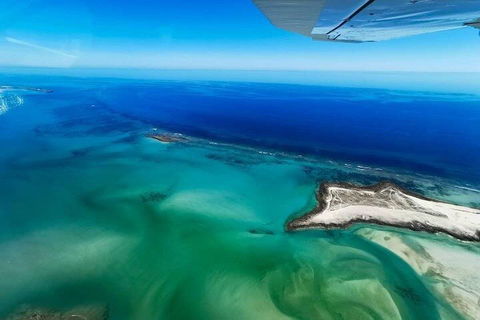 Wet Season Incredible Islands Tour - Horizontal Falls & Cygnet Bay Pearl Farm - Phillip Island Accommodation 4