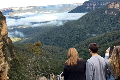 Blue Mountains Private Tour - Wild Kangaroos, Waterfalls And The Three Sisters - Phillip Island Accommodation 3