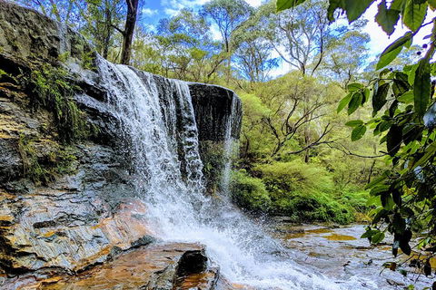 Blue Mountains Private Tour - Wild Kangaroos, Waterfalls And The Three Sisters - Phillip Island Accommodation 5