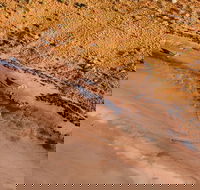 Scenic Flight Lizard Safari - Phillip Island Accommodation